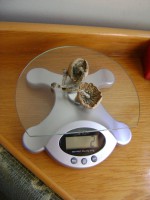 /album/europharm/a371307538-dsc01738-jpg1/