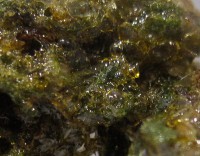 /album/europharm/mauidetail-jpg1/